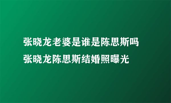 张晓龙老婆是谁是陈思斯吗 张晓龙陈思斯结婚照曝光