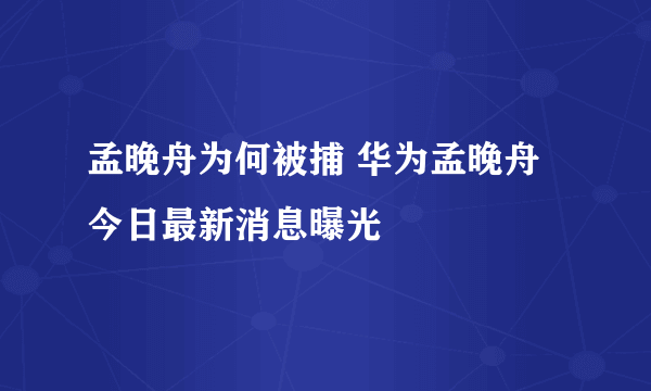 孟晚舟为何被捕 华为孟晚舟今日最新消息曝光