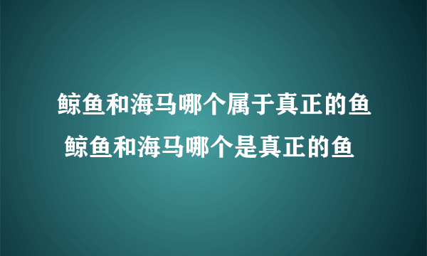 鲸鱼和海马哪个属于真正的鱼 鲸鱼和海马哪个是真正的鱼