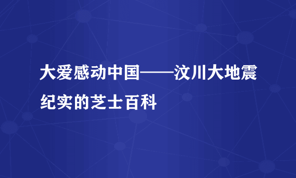 大爱感动中国——汶川大地震纪实的芝士百科