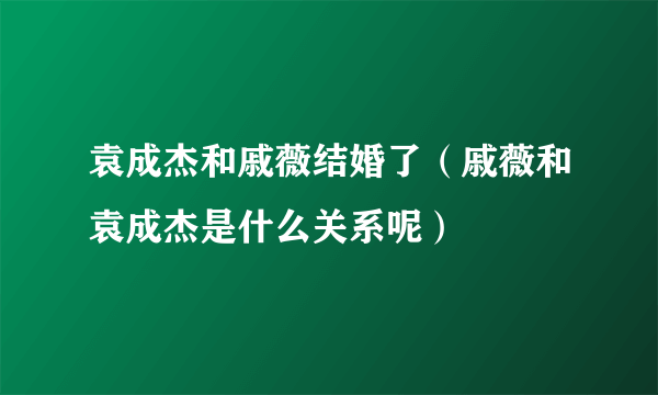 袁成杰和戚薇结婚了（戚薇和袁成杰是什么关系呢）