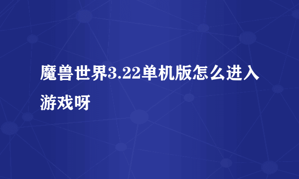 魔兽世界3.22单机版怎么进入游戏呀