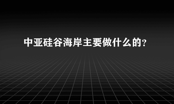 中亚硅谷海岸主要做什么的？