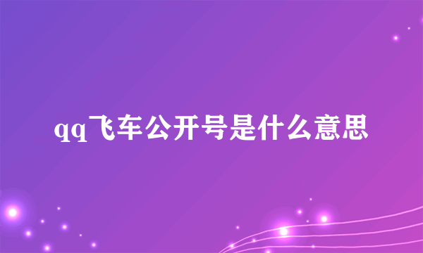 qq飞车公开号是什么意思