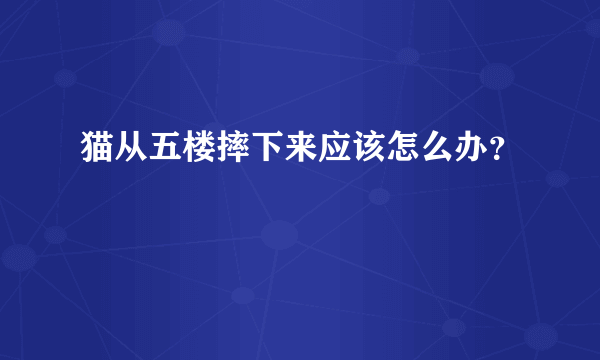 猫从五楼摔下来应该怎么办？