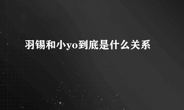 羽锡和小yo到底是什么关系