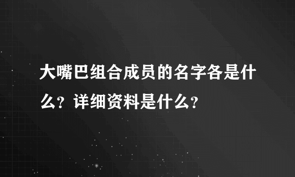 大嘴巴组合成员的名字各是什么？详细资料是什么？