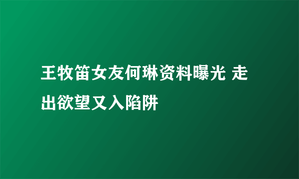 王牧笛女友何琳资料曝光 走出欲望又入陷阱