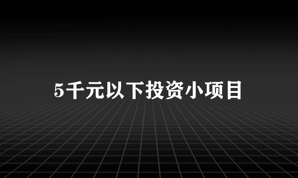 5千元以下投资小项目