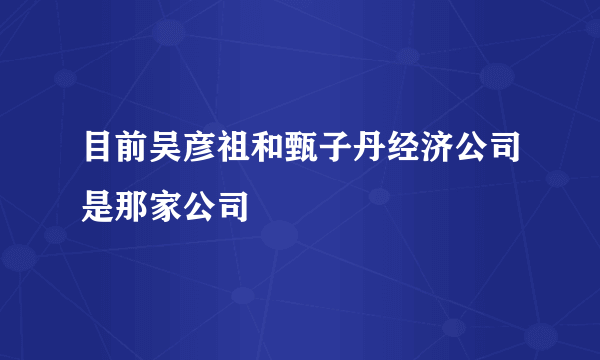 目前吴彦祖和甄子丹经济公司是那家公司