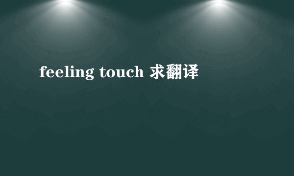 feeling touch 求翻译