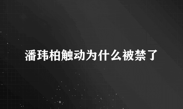 潘玮柏触动为什么被禁了