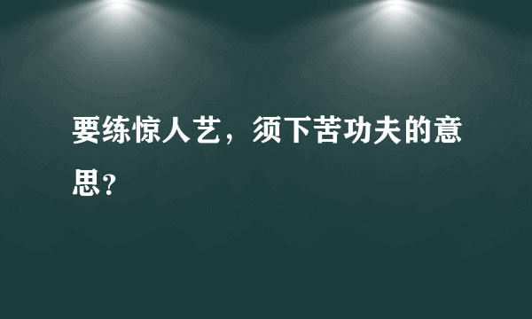 要练惊人艺，须下苦功夫的意思？