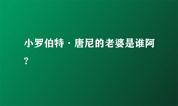 小罗伯特·唐尼的老婆是谁阿?