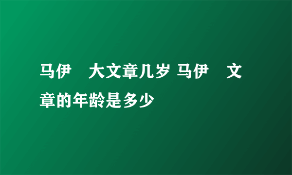 马伊琍大文章几岁 马伊琍文章的年龄是多少