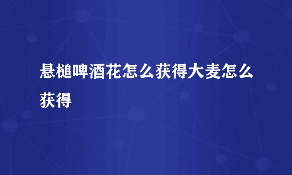 悬槌啤酒花怎么获得大麦怎么获得