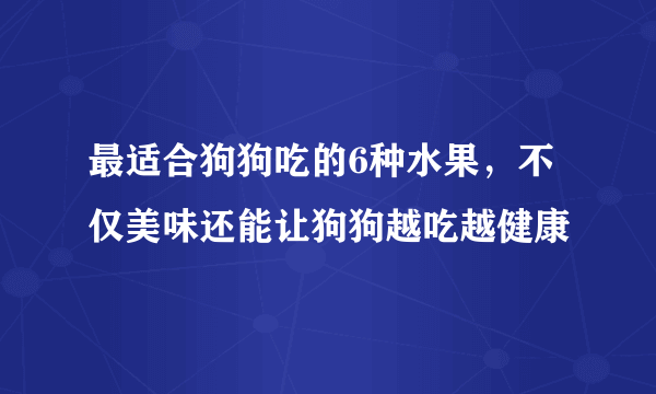 最适合狗狗吃的6种水果，不仅美味还能让狗狗越吃越健康