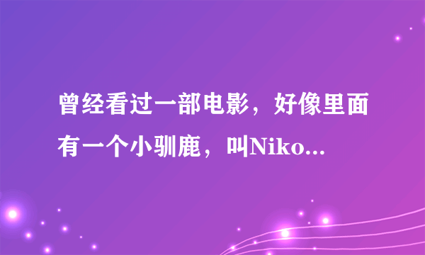 曾经看过一部电影，好像里面有一个小驯鹿，叫Niko的，叫什么名字啊？