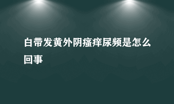 白带发黄外阴瘙痒尿频是怎么回事