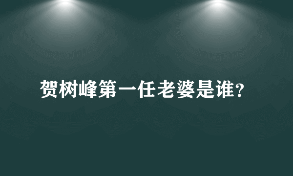 贺树峰第一任老婆是谁？