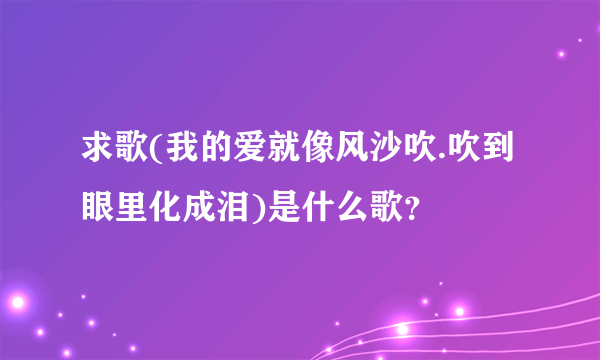 求歌(我的爱就像风沙吹.吹到眼里化成泪)是什么歌？