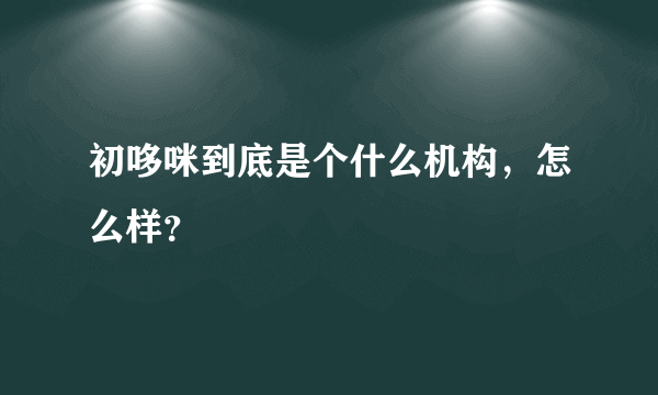 初哆咪到底是个什么机构，怎么样？