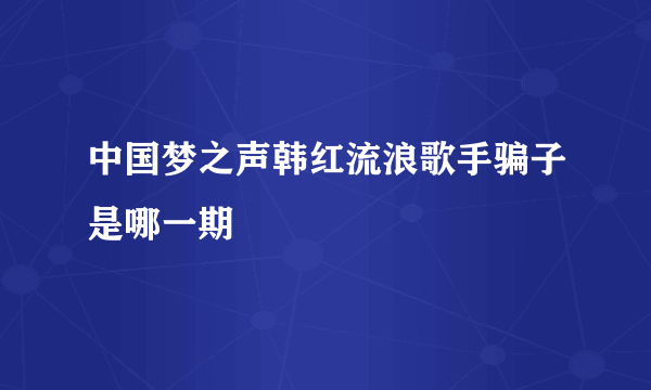 中国梦之声韩红流浪歌手骗子是哪一期