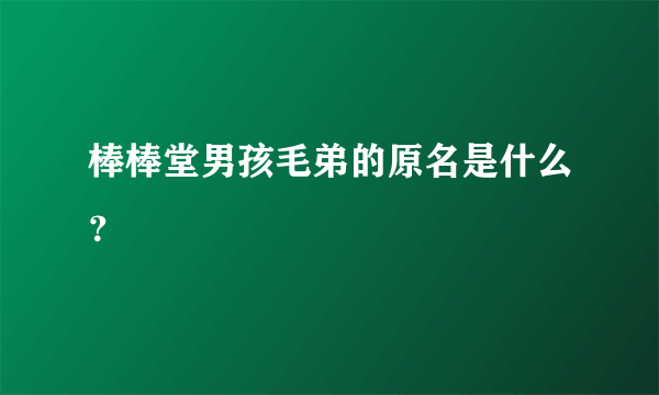 棒棒堂男孩毛弟的原名是什么？