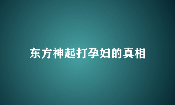 东方神起打孕妇的真相