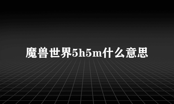 魔兽世界5h5m什么意思