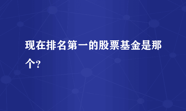 现在排名第一的股票基金是那个？