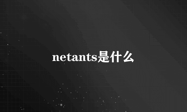 netants是什么