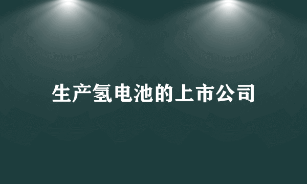 生产氢电池的上市公司