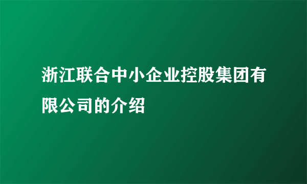 浙江联合中小企业控股集团有限公司的介绍