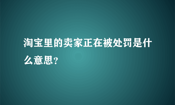 淘宝里的卖家正在被处罚是什么意思？