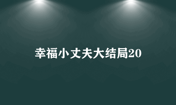 幸福小丈夫大结局20