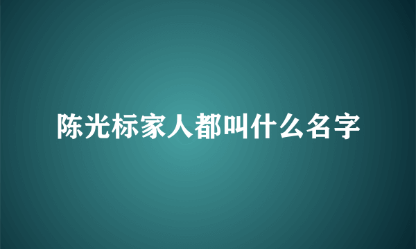 陈光标家人都叫什么名字