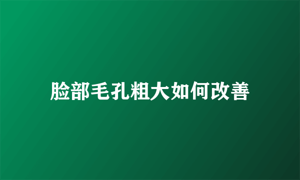 脸部毛孔粗大如何改善