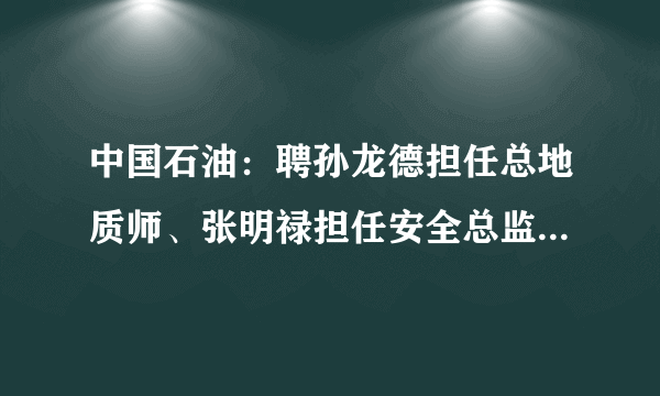 中国石油：聘孙龙德担任总地质师、张明禄担任安全总监、朱国文担任副总裁